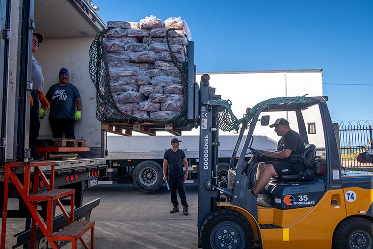 Reproceso de calamar: Pesca valida facturas sin importe ni CAE
