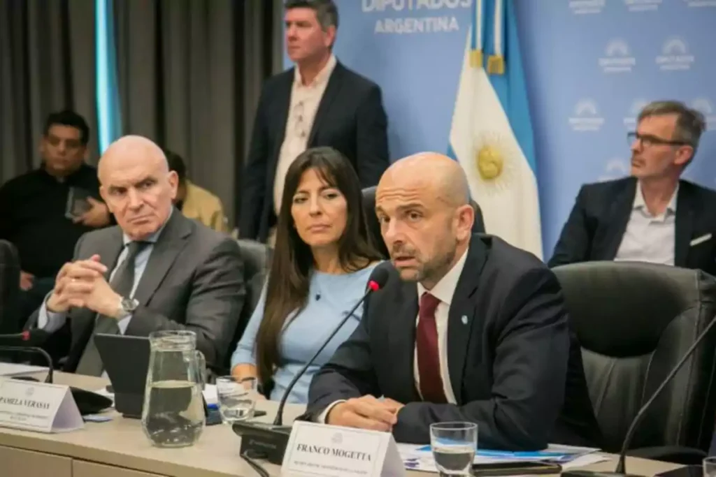 Va a contramano de lo que se hace en el mundo”