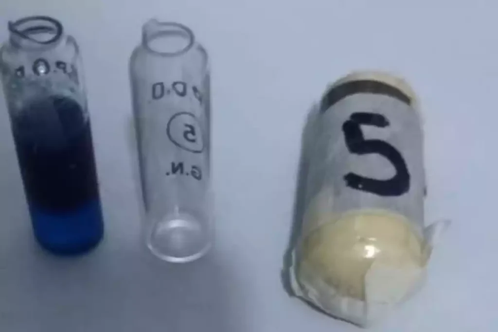 Gendarmería detuvo tres bolivianos que transportaban 235 cápsulas de cocaína ingeridas