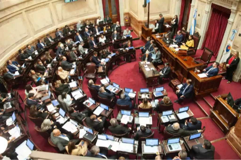 El senado buscará quebrar al Estado con la insistencia de emergencia en discapacidad