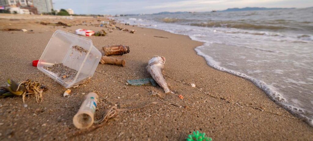 Casi el 80% de los residuos encontrados en las playas bonaerenses son plásticos