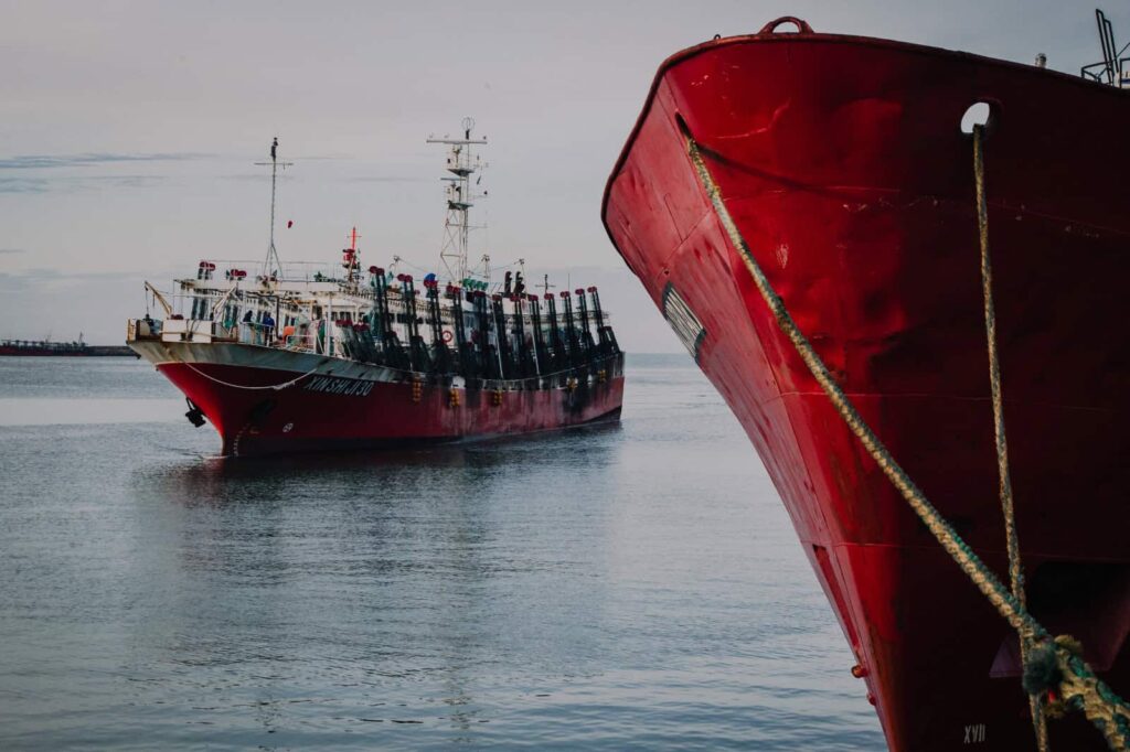 El puerto de Mar del Plata alcanzó en 2025 la cifra de descarga de pescado más alta en una década