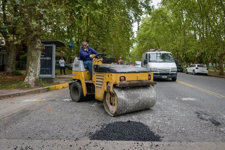 Bacheo Express en Mar del Plata: el Municipio informó que ya son casi 5.000 los baches reparados